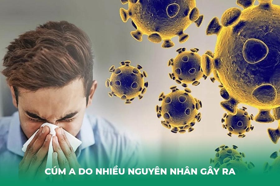 Cúm A do nhiều nguyên nhân gây ra