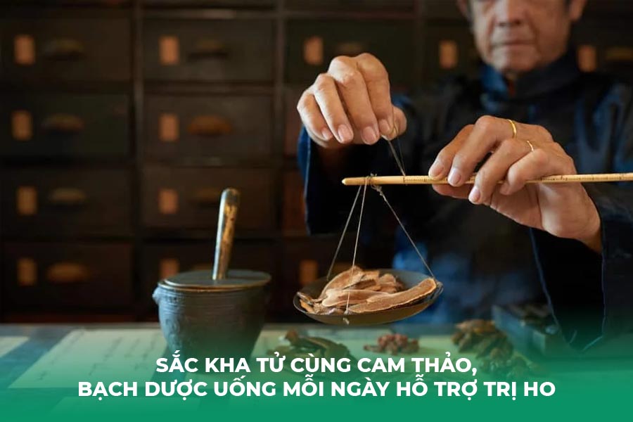 Sắc Kha Tử cùng Cam Thảo, Bạch Dược uống mỗi ngày hỗ trợ trị ho
