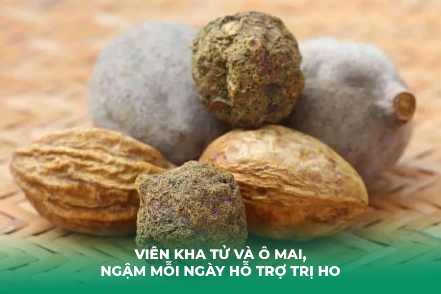 Viên Kha Tử và ô mai, ngậm mỗi ngày hỗ trợ trị ho