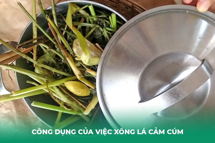 Công dụng của việc xông lá cảm cúm