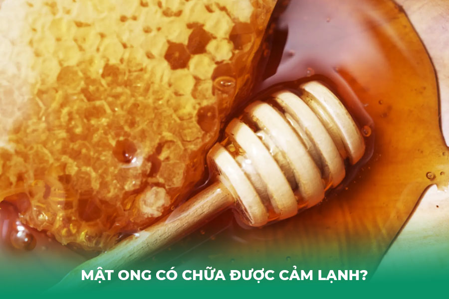 Mật Ong Có Chữa Được Cảm Lạnh?