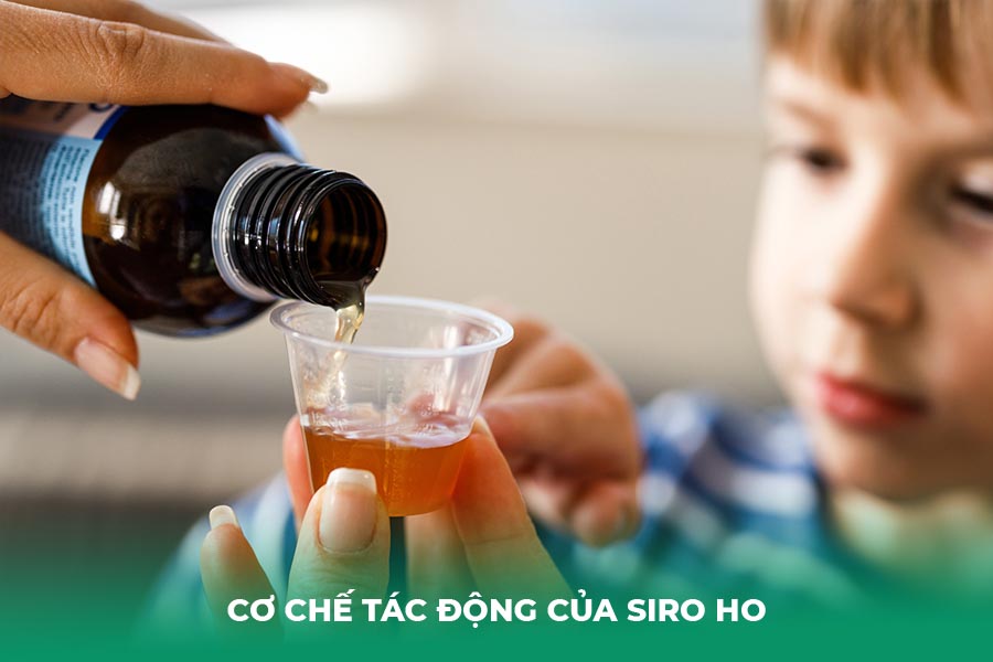 Cơ chế tác động của Siro ho