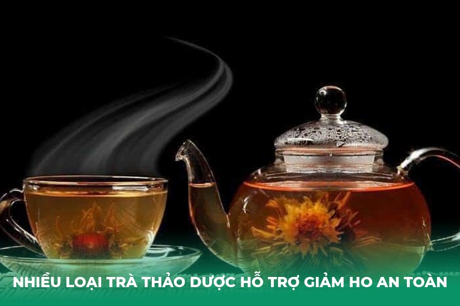 Nhiều loại trà thảo dược hỗ trợ giảm ho an toàn