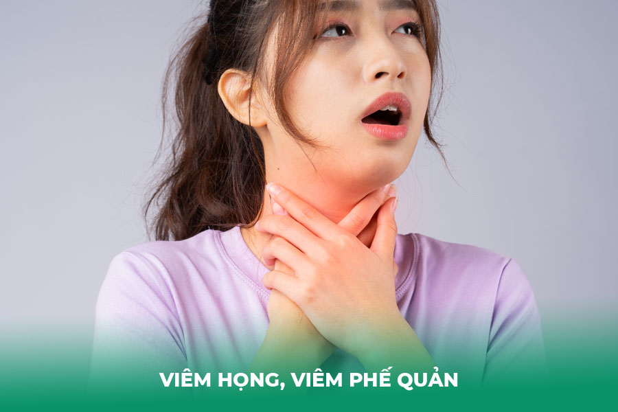 Viêm họng, viêm phế quản