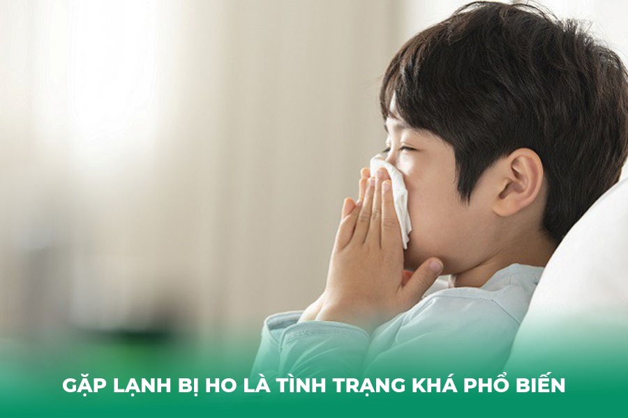 Gặp lạnh bị ho là tình trạng khá phổ biến
