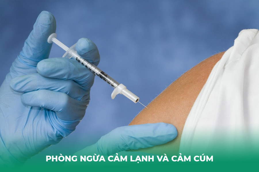 Phòng ngừa cảm lạnh và cảm cúm