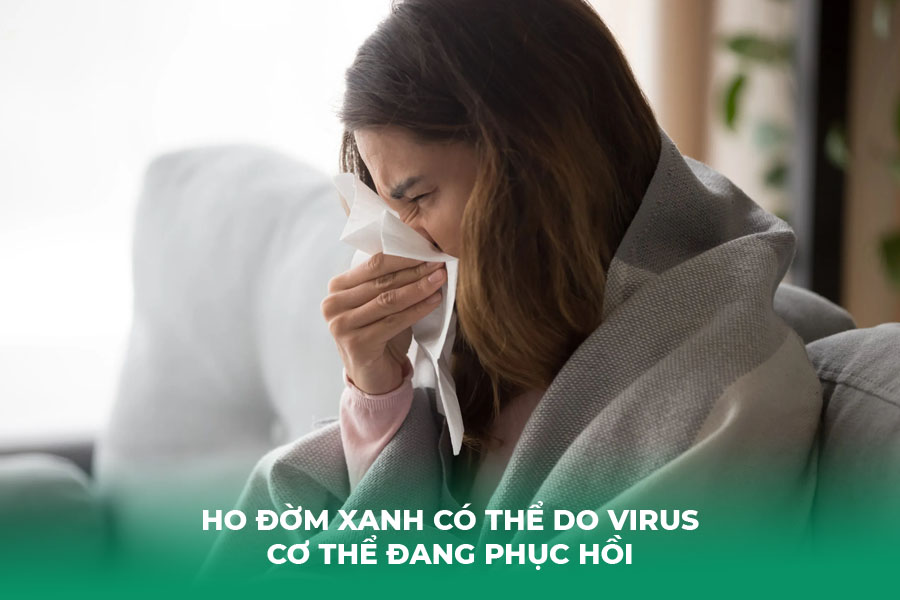 Ho đờm xanh có thể do virus – Cơ thể đang phục hồi