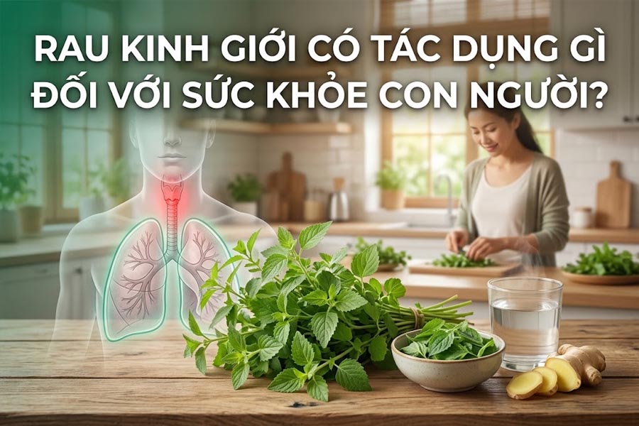 Rau Kinh Giới Có Tác Dụng Gì Đối Với Sức Khỏe Con Người?