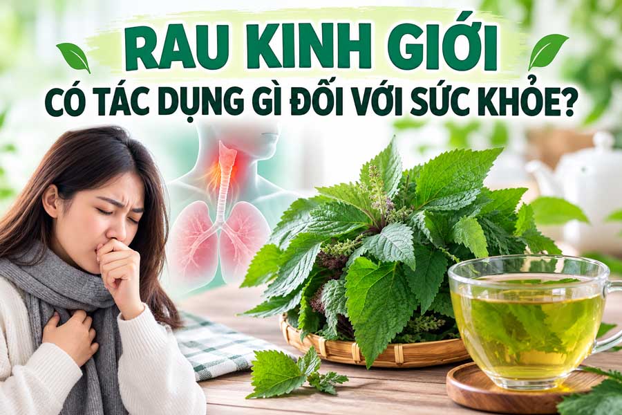 Rau Kinh Giới Có Tác Dụng Gì Đối Với Sức Khỏe?