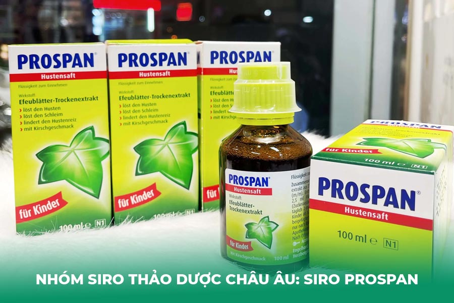 Nhóm Siro Thảo Dược Châu Âu: Siro Prospan