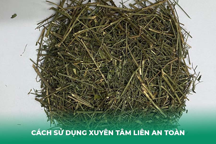 Cách Sử Dụng Xuyên Tâm Liên An Toàn