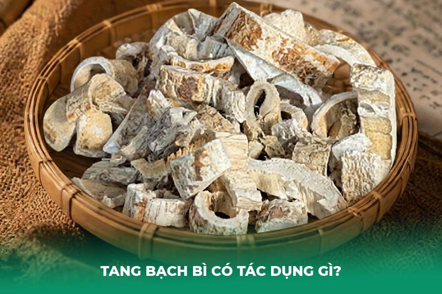 Tang bạch bì có tác dụng gì đối với sức khỏe?