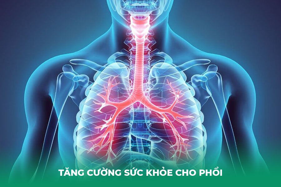 thanh loc phoi trong 3 ngay giup tang cuong de khang cho phoi