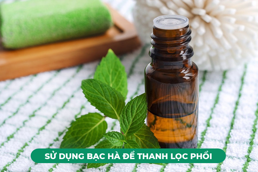Sử dụng bạc hà để thanh lọc phổi cũng rất tốt