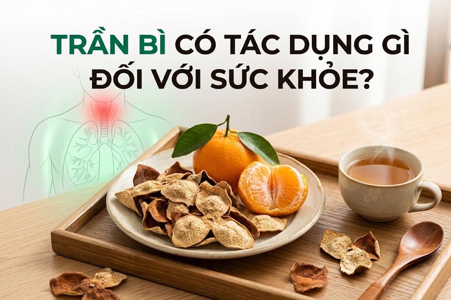 Trần bì có tác dụng gì đối với sức khỏe?
