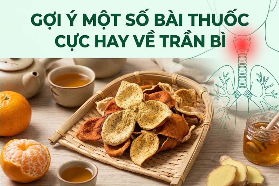 Gợi ý một số bài thuốc cực hay về trần bì