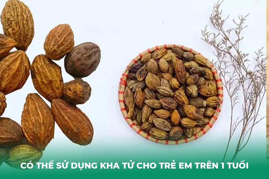 Có thể sử dụng Kha Tử cho trẻ em trên 1 tuổi