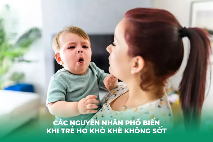 Các Nguyên Nhân Phổ Biến Khi Trẻ Ho Khò Khè Không Sốt