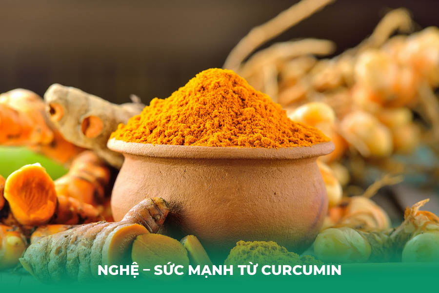Nghệ – Sức Mạnh Từ Curcumin