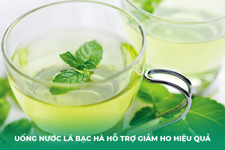 Uống nước lá bạc hà hỗ trợ giảm ho hiệu quả