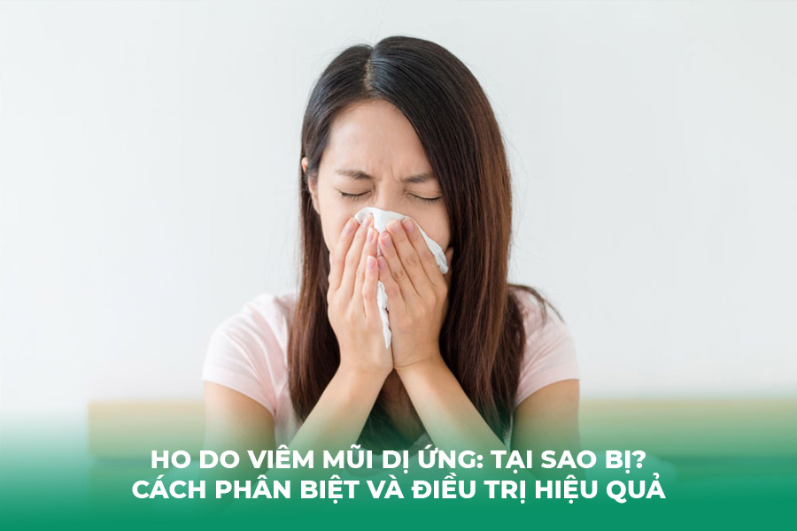 Ho Do Viêm Mũi Dị Ứng: Tại Sao Bị? Cách Phân Biệt Và Điều Trị Hiệu Quả