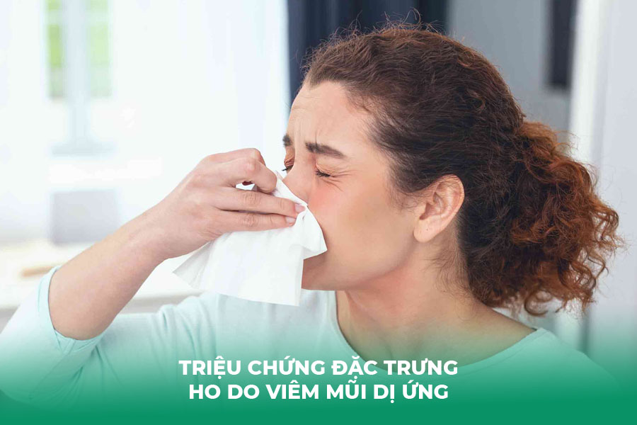 Ho Do Viêm Mũi Dị Ứng