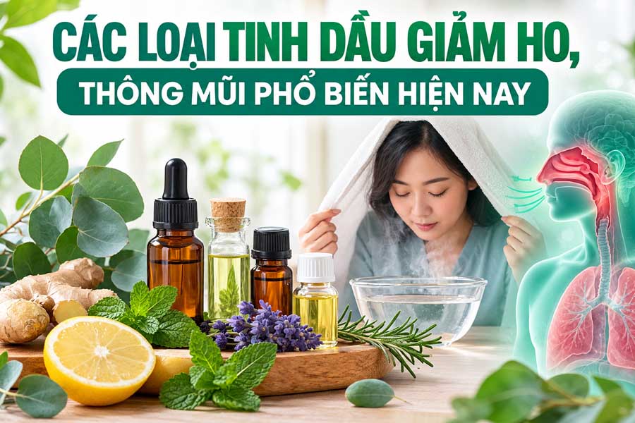 Các loại tinh dầu giảm ho, thông mũi phổ biến hiện nay