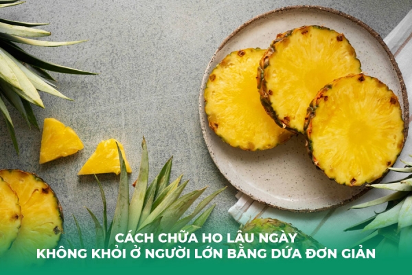 5 Bài Thuốc Trị Ho Lâu Ngày Không Khỏi Bằng Thảo Dược Thiên Nhiên