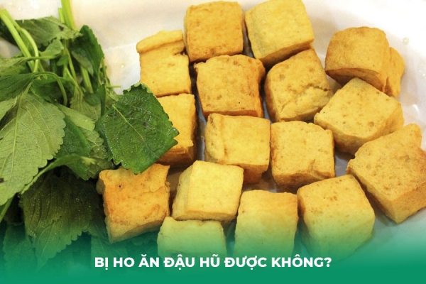 Giải Đáp: Bị Ho Ăn Đậu Hũ Được Không