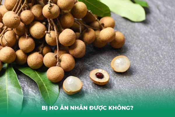 Bị Ho Ăn Nhãn Được Không Lời Giải Đáp Từ Chuyên Gia