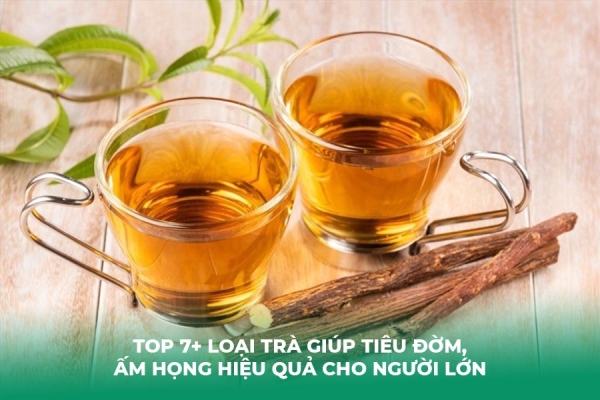 Top 7 Loại Trà Giúp Tiêu Đờm, Ấm Họng Hiệu Quả Cho Người Lớn