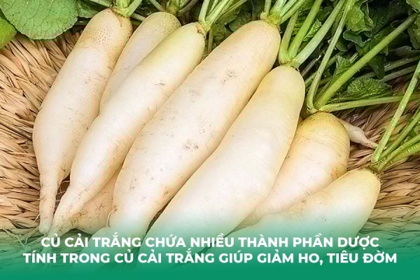 04 Cách Trị Ho Bằng Củ Cải Trắng Tại Nhà Đơn Giản