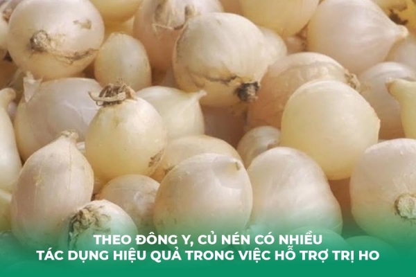 5 Cách Trị Ho Bằng Củ Nén Dùng Được Cho Cả Người Lớn Và Trẻ Em