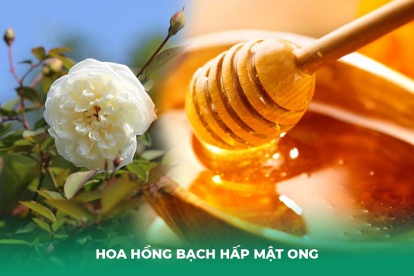 03 Cách Trị Ho Bằng Hoa Hồng Bạch Được Các Mẹ Truyền Tai