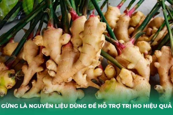 5 Cách Trị Ho Cho Bé Bằng Gừng Hiệu Quả Tại Nhà