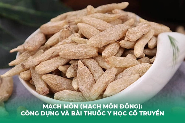Mạch Môn Mạch Môn Đông : Công Dụng Và Bài Thuốc Y Học Cổ Truyền