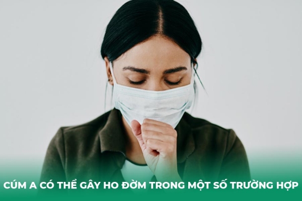 Cúm A Ho Có Đờm Không Giải Đáp Từ Chuyên Gia Cách Xử Lý An Toàn
