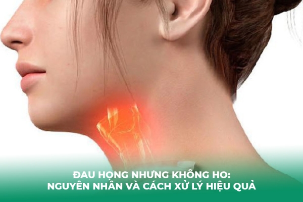 Đau Họng Nhưng Không Ho: Nguyên Nhân và Cách Xử Lý Hiệu Quả