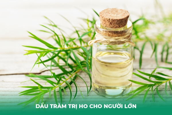 4 Cách Dùng Dầu Tràm Trị Ho Cho Người Lớn