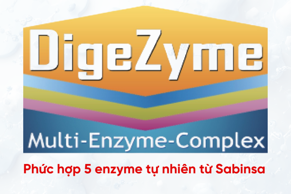 Ưu điểm nổi bật của DigeZyme® – phức hợp 5 enzyme tự nhiên từ Sabinsa
