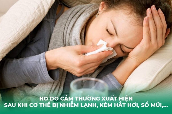 4 Biện Pháp Tự Nhiên Giúp Giảm Ho Do Cảm Lạnh Tại Nhà