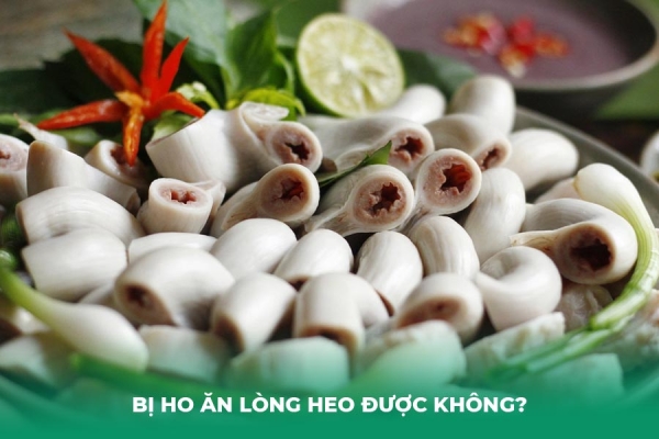Ho Ăn Lòng Heo Được Không Giải Đáp Từ Chuyên Gia