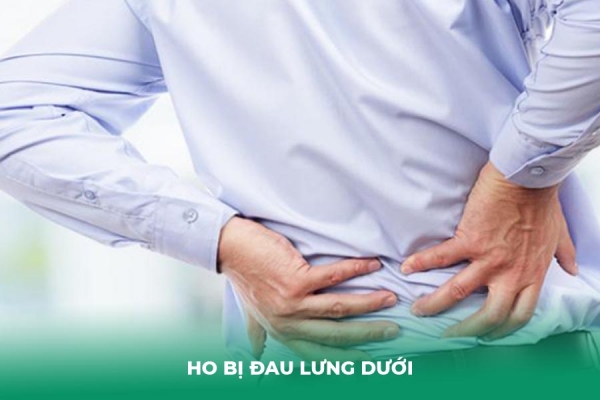 Ho Bị Đau Lưng Dưới Là Dấu Hiệu Của Bệnh Gì