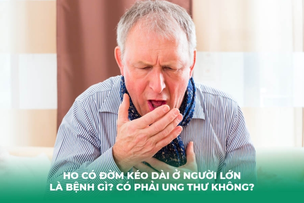 Ho Có Đờm Kéo Dài ở Người Lớn Là Bệnh Gì Có Phải Ung Thư Không