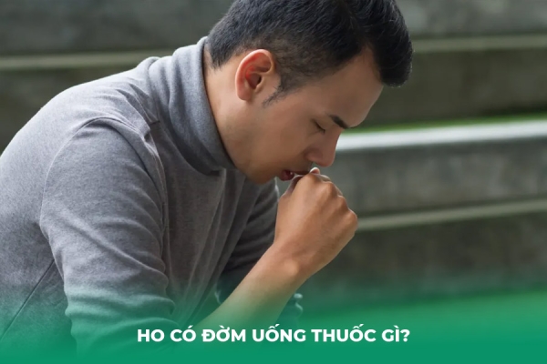 Ho Có Đờm Uống Thuốc Gì Top Thuốc Long Đờm Hiệu Quả Ho Có Đờm Uống Thuốc Gì Top Thuốc Long Đờm Hiệu Quả