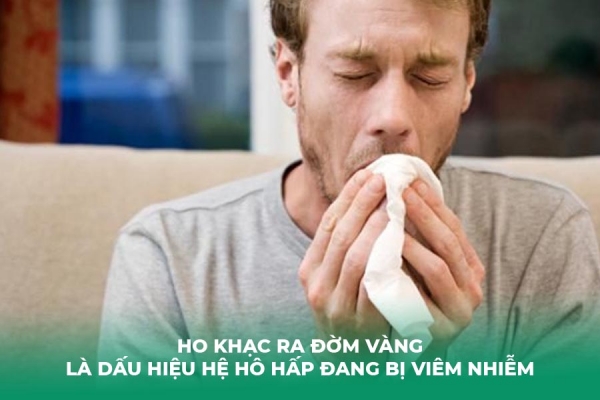 Ho Có Đờm Vàng Lâu Ngày: Nguyên Nhân Và Cách Điều Trị
