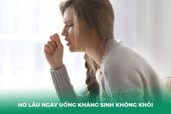 Vì Sao Ho Lâu Ngày Uống Kháng Sinh Không Khỏi