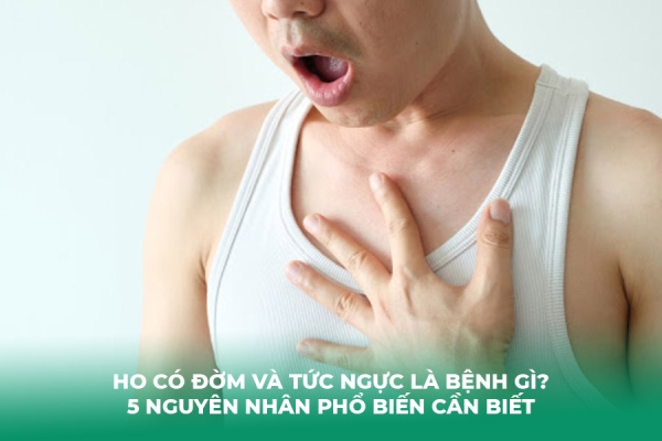 Ho Có Đờm Và Tức Ngực Là Bệnh Gì 5 Nguyên Nhân Phổ Biến Cần Biết