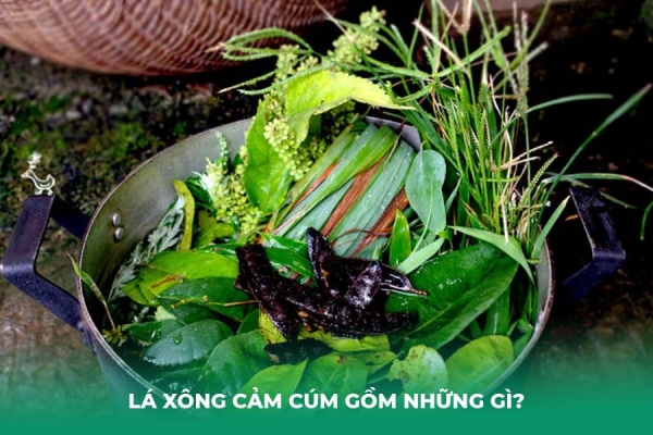 Lá Xông Cảm Cúm Gồm Những Gì Hướng Dẫn Chuẩn Bị và Cách Xông An Toàn