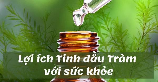 Những lợi ích của Tinh dầu Tràm với sức khoẻ